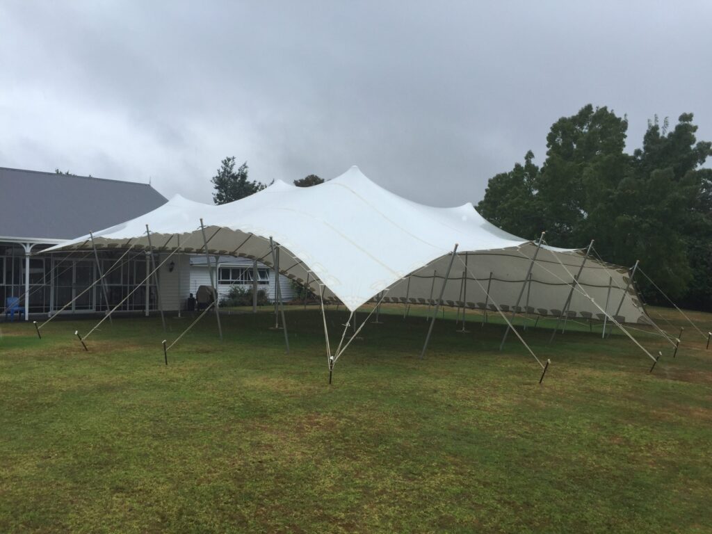 IMG_0716-scaled
